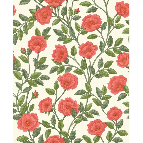 Hampton Roses - Rouge & Spring Green on Parchment
