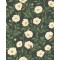 Hampton Roses - Cream & Forest Green on Charcoal