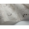 Leopard Walk - Soot on Snow