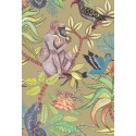 Savuti - Bright Multi on Old Olive