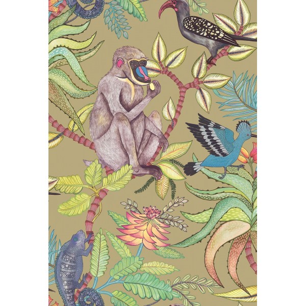 Savuti - Bright Multi on Old Olive