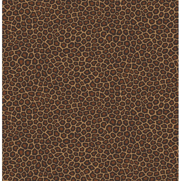 Senzo Spot - Charcoal & Ginger