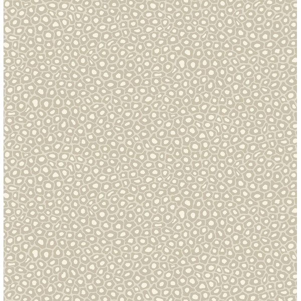 Senzo Spot - Stone & Chalk