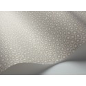 Senzo Spot - Stone & Chalk