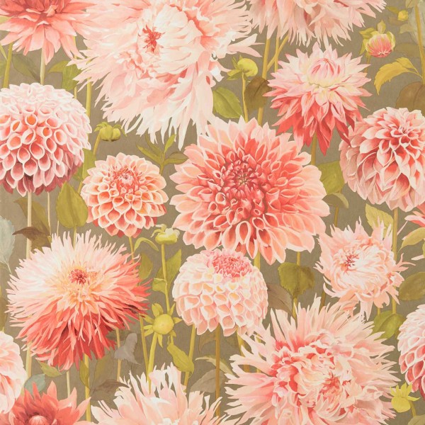 Dahlia Wide Width - Coral/Fig Leaf/Gilver