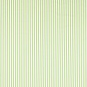 Ribbon Stripe - Peridot