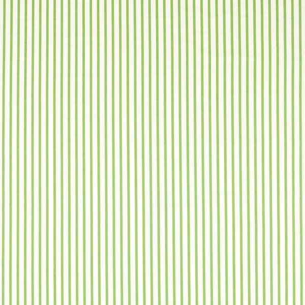 Ribbon Stripe - Peridot