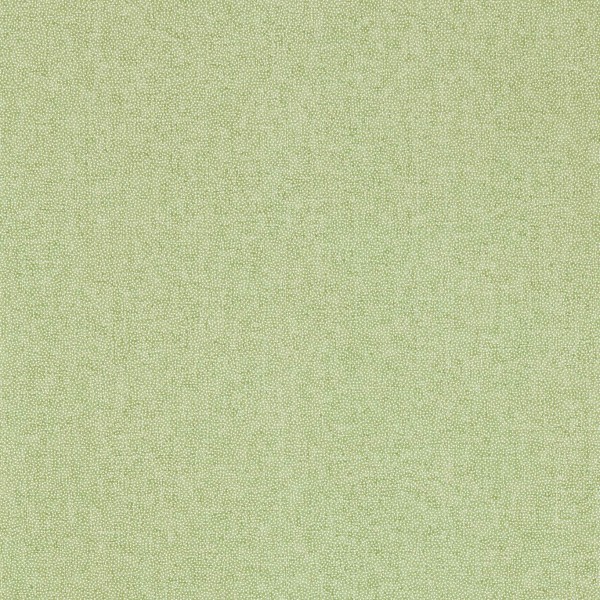 Sessile Plain - Moss Green