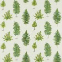 Fernery Embroidery - Botanical Green