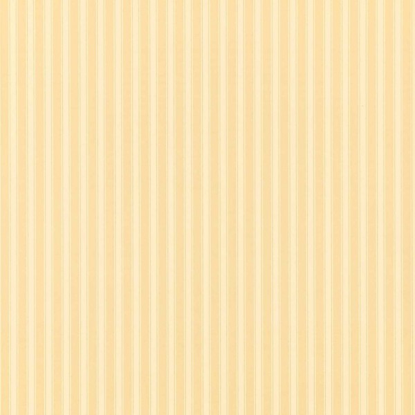 New Tiger Stripe -Honey/Cream