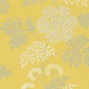 Cowparsley - Chinese Yellow