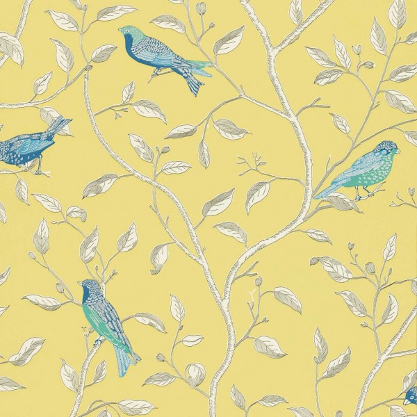 Finches - Yellow