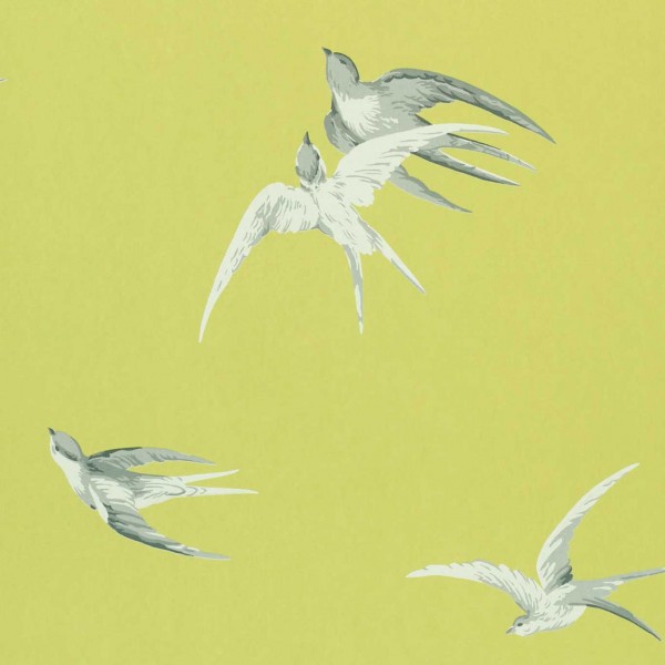 Swallows  - Lime