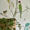 Woodland Chorus