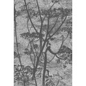 Cow Parsley Icons - Charcoal