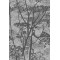 Cow Parsley Icons - Charcoal