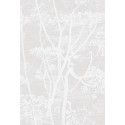 Cow Parsley Icons - Parchment