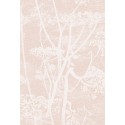 Cow Parsley Icons - Ballet Slipper