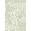 Cow Parsley Icons - Olive