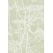 Cow Parsley Icons - Olive