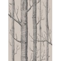 Woods Icons - Linen & Charcoal