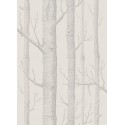 Woods Icons - Parchment