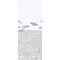 Vista Mediterranea - Soft Neutral