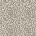 Savanna Shell - Shell Mica, Taupe & Metallic Gilver
