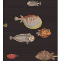 Acquario - Charcoal