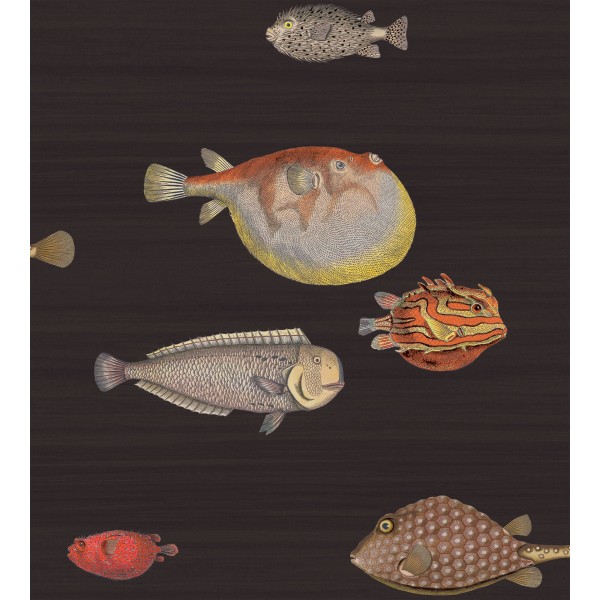 Acquario - Charcoal