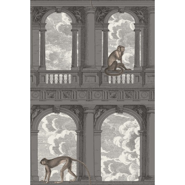 Procuratie con vista - Soot & Snow