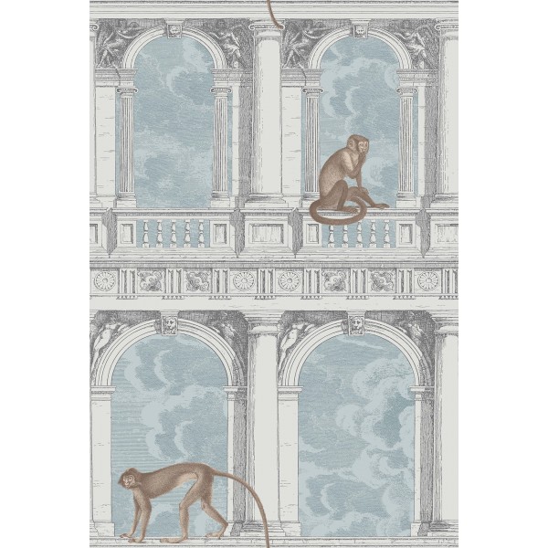 Procuratie con vista - Soft Grey & Ice Blue