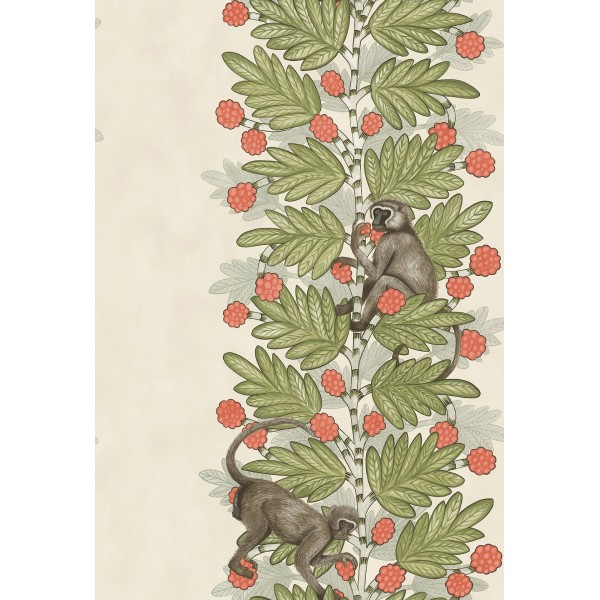 Acacia - Olive & Coral on Parchment