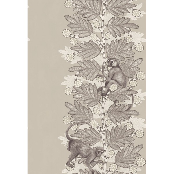 Acacia - Taupe & White on Stone
