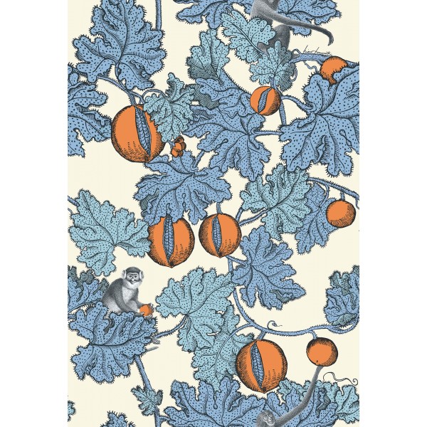 Frutto Proibito - Hyacinth & Orange on White