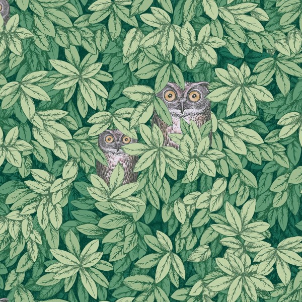 Foglie e Civette - Forest Green