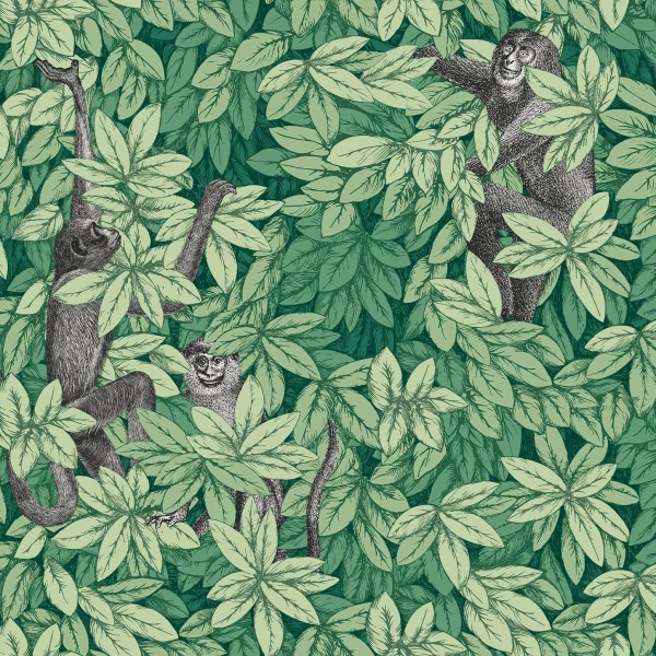 Foglie e Scimmie - Forest Green